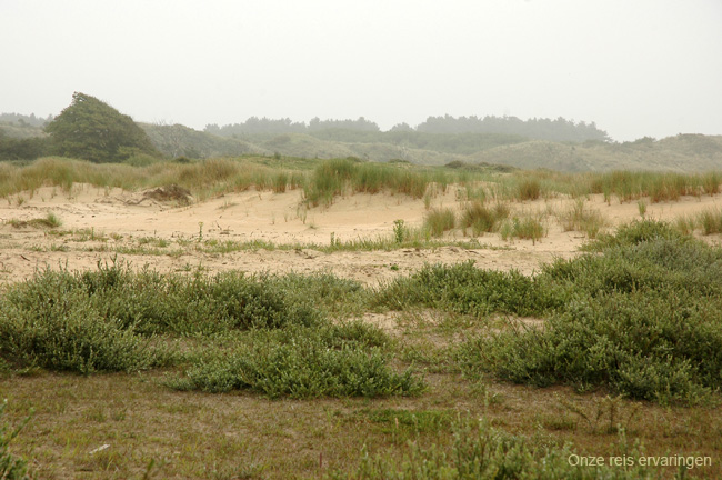 Bloemendaal2009_0035