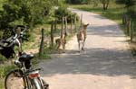 Bloemendaal2009_0087