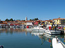 150829-novigrad-0454