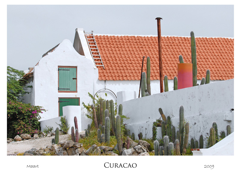 curacao_web_0063