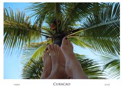 curacao_web_0041