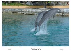 curacao_web_0049