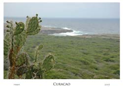 curacao_web_0053