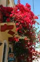 05_kreta_062