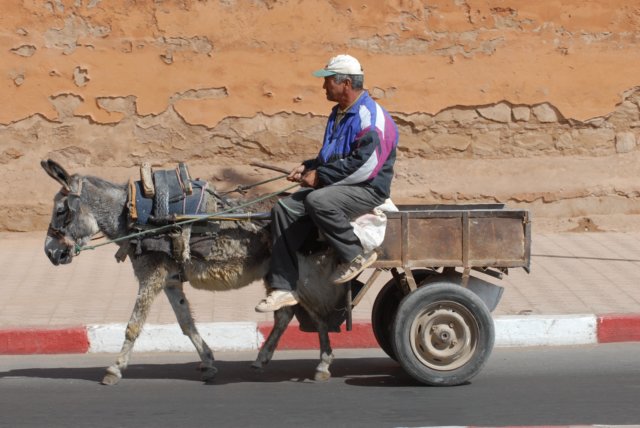 internet_marrakech_042.jpg