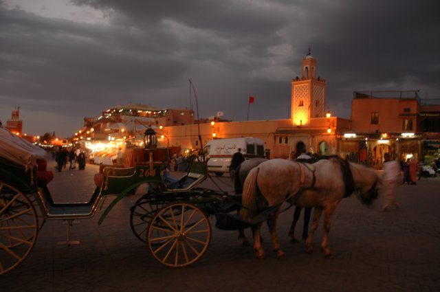 internet_marrakech_053.jpg
